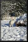 78 snow * 2592 x 3872 * (11.54MB)